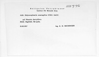 Image Associated With the Occurrence